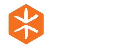 cesvi